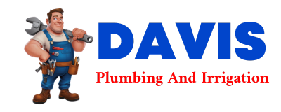 Trusted plumber in GUNTER